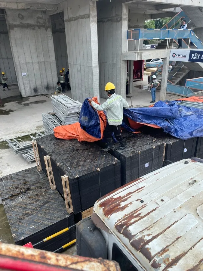 Công nhân sắp xếp ván ép sau khi rút khỏi container