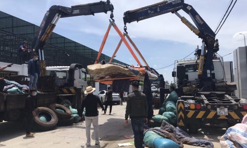 cung cấp dịch vụ nâng hạ hàng hóa chất lượng uy tín